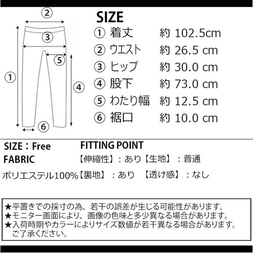 裏起毛 ストッキング ストッキング 透け タイツ 防寒 インナー 脚痩せ レディース 韓国 プチプラ 流行り トレンド 人気 おしゃれ かわいい おすすめ 秋 冬 タイツ ストッキング レッグウェア 下着 インナー Shopnikoniko ショップニコニコ レディース